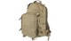 Coyote Brown