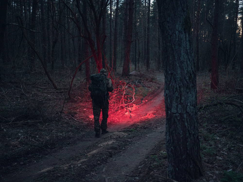 LED-Taschenlampen - Armytek - Wizard C2 WR Magnet USB wiederaufladbare Taschenlampe - 1020 Lumen - F06901W