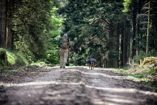 Helikon - SFU Next® Hose - Schatten Grau - SP-SFN-PR-35 - Cargohosen