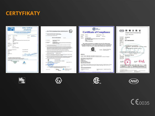 Outdoor - Fenix - Taschenlampe LED - 200 Lumen - WF11E - LED-Taschenlampen