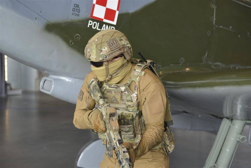 Ausrüstung - Direct Action - Taktische Weste Plattenträger Spitfire - Ranger Green - PC-SPTF-CD5-RGR - Modulare Westen