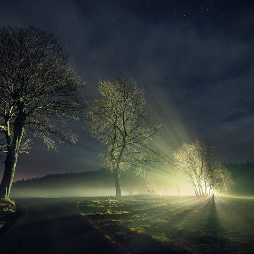 Mactronic - Handscheinwerfer Blitz K12 - 11600 lm - Schwarz - THS0011 - LED-Taschenlampen - Outdoor