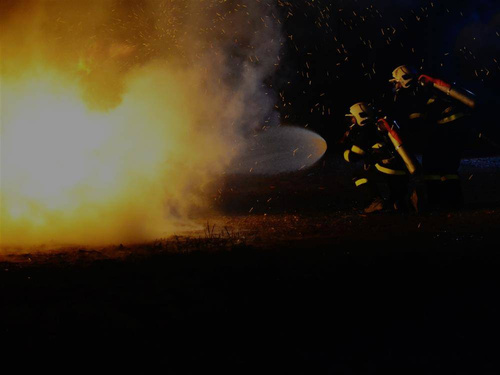 LED-Taschenlampen - Fenix - Taschenlampe LED - 200 Lumen - WF11E