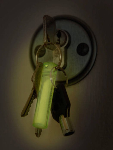 Verschiedenes - Ni-Glo - Schlüsselanhänger Zahnradmarker - Polymer - Dragon Green - 91501 - Schlüsselanhänger