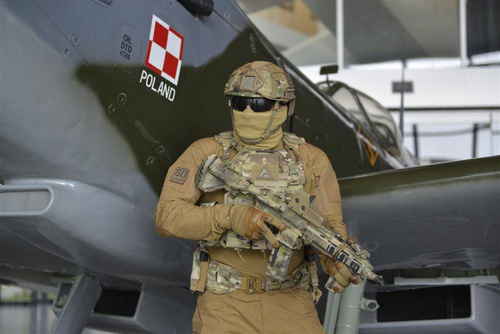 Direct Action - Taktische Weste Plattenträger Spitfire - Ranger Green - PC-SPTF-CD5-RGR - Modulare Westen - Ausrüstung