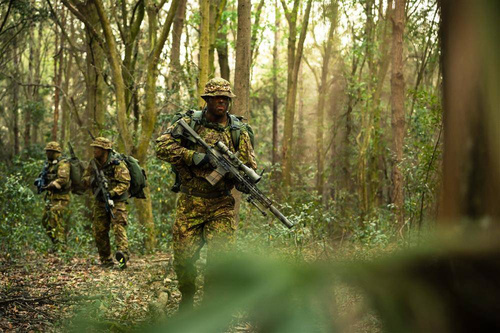 Helikon - Militärhosen CPU® - RipStop - PenCott SandStorm - SP-CPU-NR-43 - Cargohosen - Bekleidung