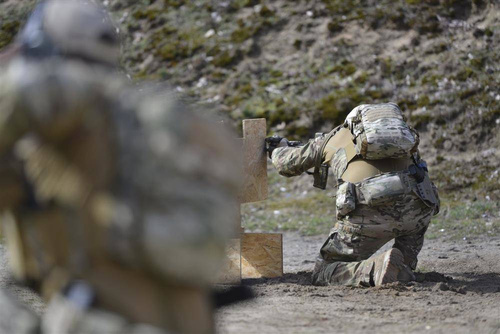 Stadt, EDC, 1 Tag (bis zu 25 Liter) - Direct Action - Spitfire Mk II Rucksack Panel - 12L - Coyote Brown - PL-SPBK-CD5-CBR