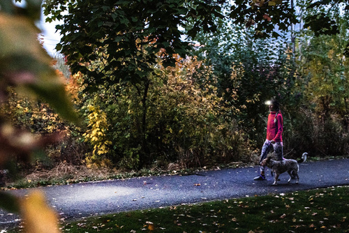 Ledlenser - HF4R Core Kopftaschenlampe - 500 lm - 1000 mAh - Schwarz - 502790 - LED-Taschenlampen - Outdoor