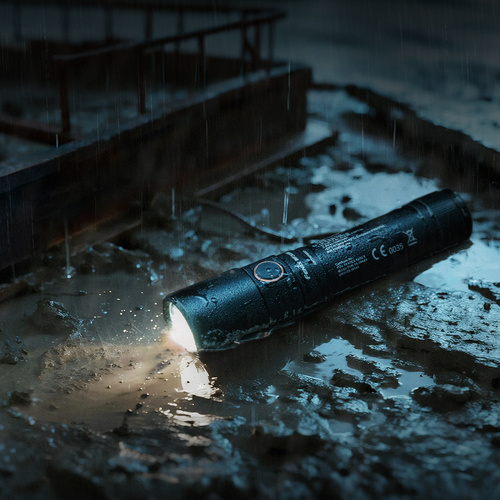 LED-Taschenlampen - Fenix - Taktische Taschenlampe LED WF30RE (2025) - 300 lm - Schwarz - WF30RE (2025)