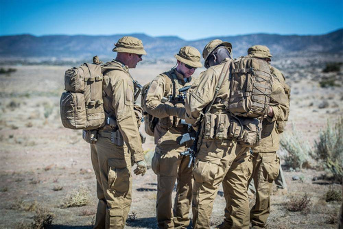 Helikon - Waschbär Mk2-Rucksack - 20 L - Olive Green - PL-RC2-CD-02 - Stadt, EDC, 1 Tag (bis zu 25 Liter)