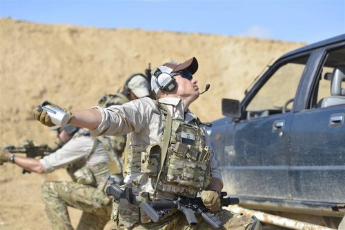 Ausrüstung - Direct Action - Rauchgranaten-Tasche - Adaptive Green - PO-SMKE-CD5-AGR - Granatentaschen