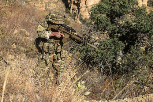 Direct Action - Hurricane Hybrid Chest Rig® - Cordura® - Ranger Green - CR-HRCN-CD5-RGR - Chest Rig Westen