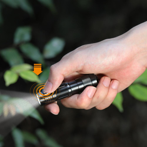 Fenix - Wiederaufladbare LED Taschenlampe E09R - Schlüsselanhänger -600 Lumen - Schwarz - 039-485 - LED-Taschenlampen