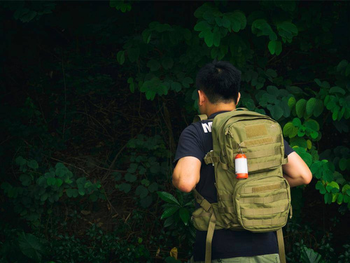 LED-Taschenlampen - Fenix - Camping LED Taschenlampe - 2600 mAh 3,6 V - Grün - CL26R