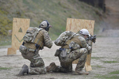 Direct Action - Spitfire Mk II Rucksack Panel - 12L - MultiCam - PL-SPBK-CD5-MCM - Stadt, EDC, 1 Tag (bis zu 25 Liter)