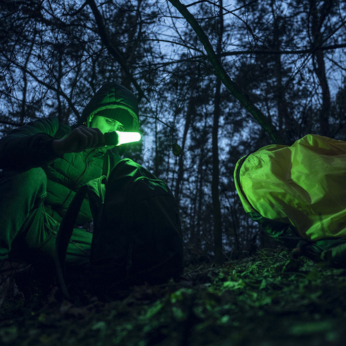 Armytek - Taschenlampe LED Bear WRG - Magnetisches Ladegerät - 1500 lm - 510 m - Schwarz - F09901C - LED-Taschenlampen - Outdoor