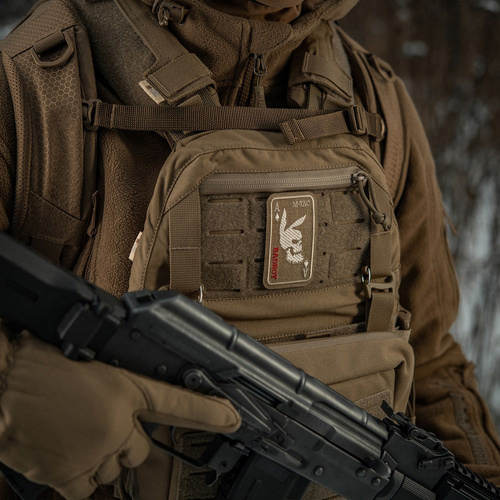 Morale Patch - M-Tac – Bad Boy Patch – Stickerei – Coyote – 51390005