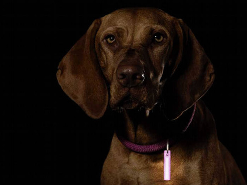 Verschiedenes - Ni-Glo - Schlüsselanhänger Zahnradmarker - Polymer - Panther Pink - 91503 - Schlüsselanhänger