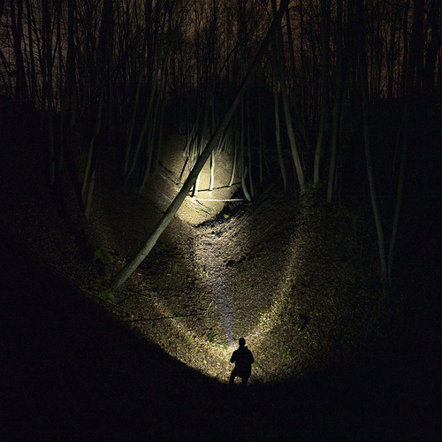 Armytek - Taschenlampe LED Bear WRG - Magnetisches Ladegerät - 1500 lm - 510 m - Schwarz - F09901C - LED-Taschenlampen - Outdoor