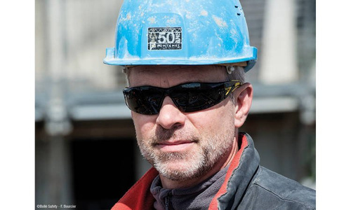 Sonnenbrille - Bolle Safety - Schutzbrille - RUSH+ - Getönt - RUSHPPSF